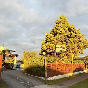 汽车旅馆 山茶花苑家庭汽车旅馆, 陶波
